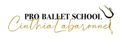 pro-ballet-school.jpg